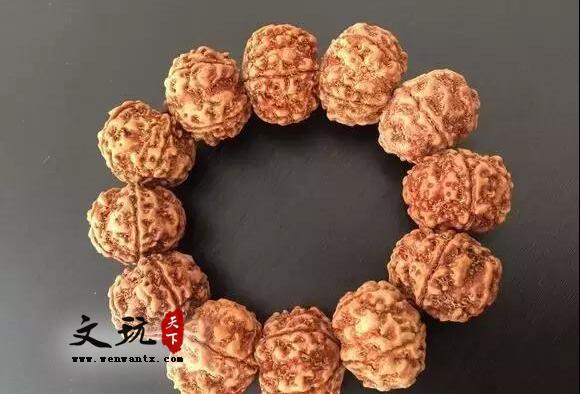 金刚菩提知识，这一篇是我见过写的最详细的(图文)