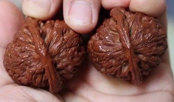 文玩脑残是如何通过装逼来获得快感的？ 文玩天下 第4张